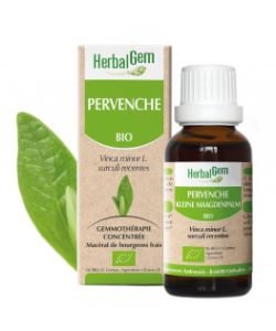 Pervenche (Vinca minor) j.p. BIO, 15 ml